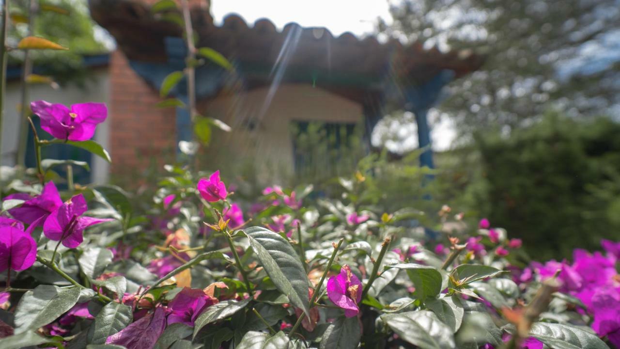Termales El Otono Hotel La Enea Eksteriør billede A woman watering flowers